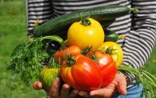 consumo-vegetales-1020x600