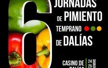 VI JORNADAS PIMIENTO