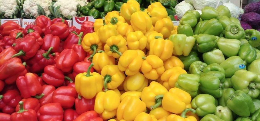 exportación frutas y hortalizas