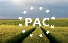 pac