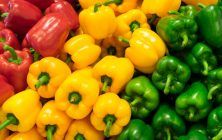 pimientos