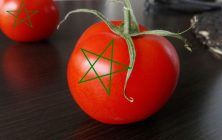 tomate-marroquí