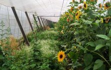 BIODIVERSIDAD-INTERIOR-1