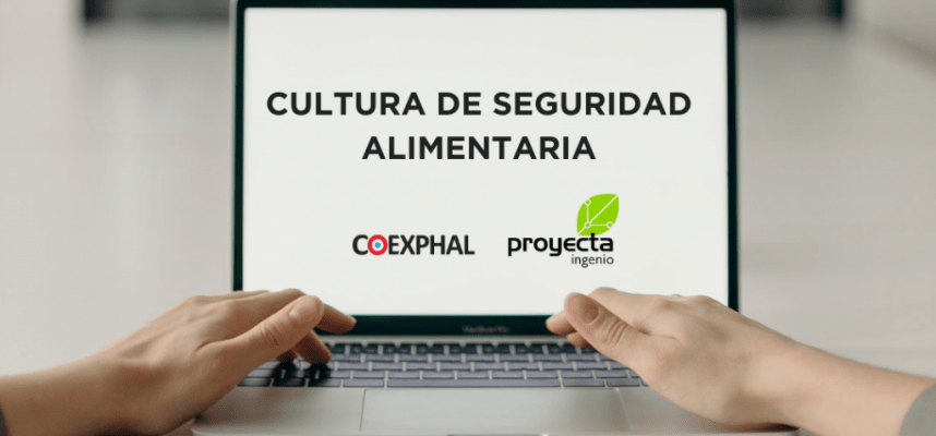 Copia-de-alternativas-1080x600