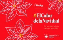 ElColordelaNavidad