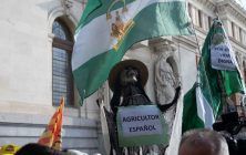 Manifestacion-Madrid-home-1020x600