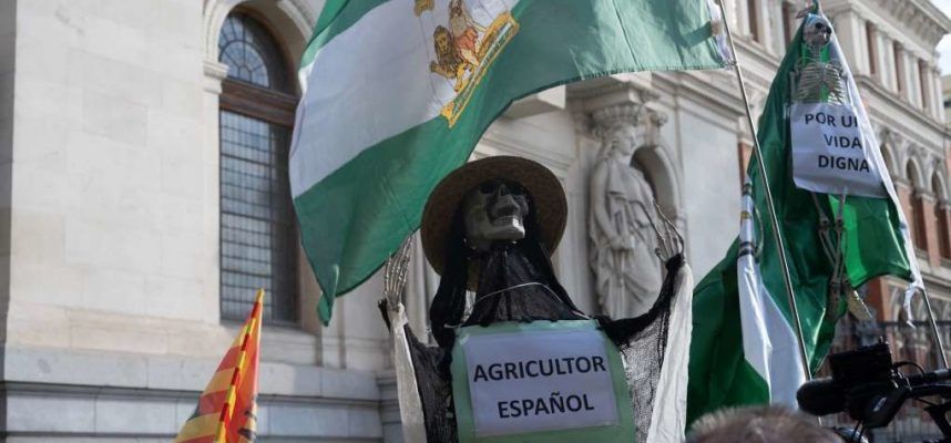 Manifestacion-Madrid-home-1020x600