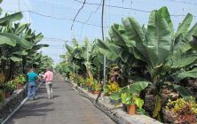 agrocolor-en-La-Palma-home-1020x600