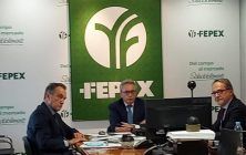 fepex-asan-799x600