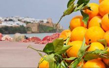 naranjas
