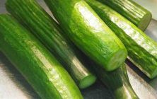 pepino-pepinos