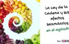 6-y-7-Ley-de-la-cadena-1170x600