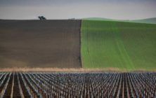 SEGUROS-AGRARIOS-1020x600