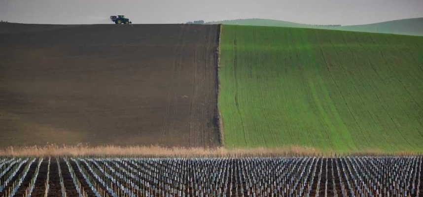 SEGUROS-AGRARIOS-1020x600