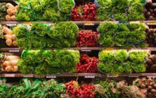 abundance-agriculture-arranged-2733918-1170x600
