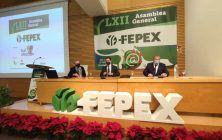 foto-asamblea-FEPEX-2-home-1020x600
