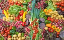frutas-y-hortalizas-export-ok