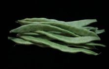 plant-leaf-flower-food-green-produce-774036-pxhere.com_-1024x600