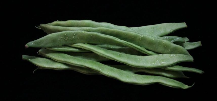 plant-leaf-flower-food-green-produce-774036-pxhere.com_-1024x600