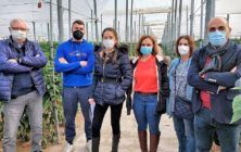 Agricultura-Almeria-1000x600