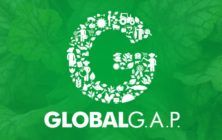 Global-GAP-verde
