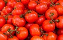 color-fresh-healthy-533280
