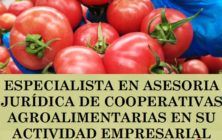 especialista-asesoria