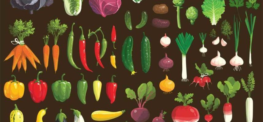 frutas-y-verduras-ilustracion-1024x600