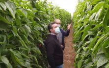 tecnico-y-agricultur-acrena-OK
