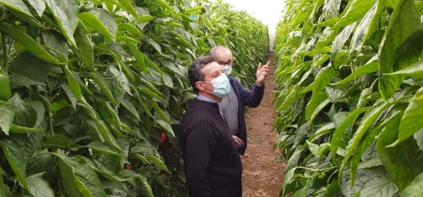 tecnico-y-agricultur-acrena-OK