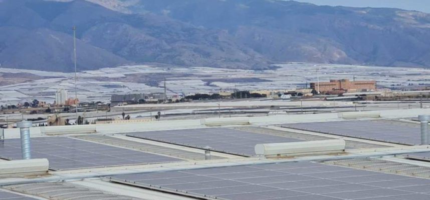 PLACAS-FOTOVOLTAICAS-ok-1170x600