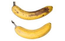 banano