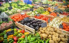 frutas-y-verduras