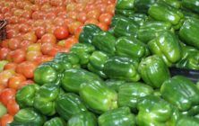 tomates-y-pimientos