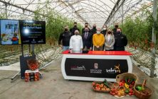 chef-almeria-sabores-ok-900x543