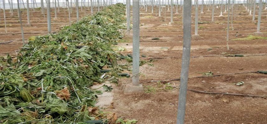 residuos-vegetales-invernadero-1020x600