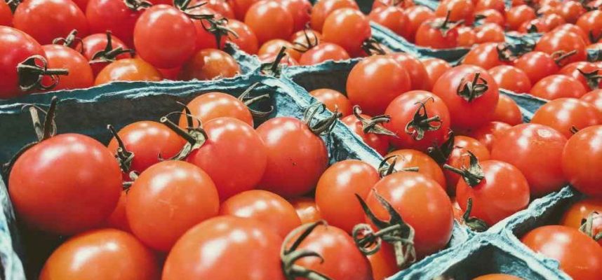 tomate-marroqui-1020x600
