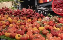 tomates-Marruecosok-1020x600