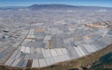 Panoramica-invernaderos