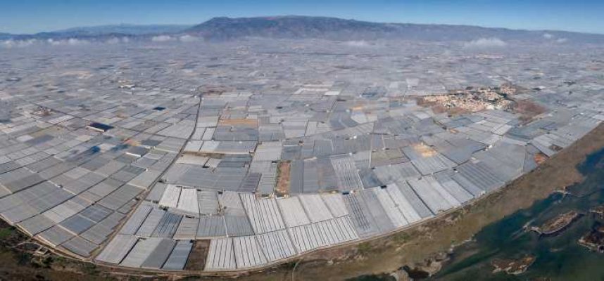 Panoramica-invernaderos