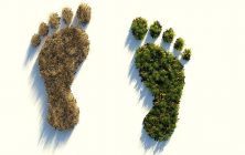 huella ambiental