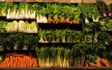 verduras-ok-1020x600