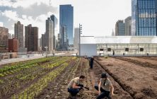 Javits-Center-granja-ok-1020x600