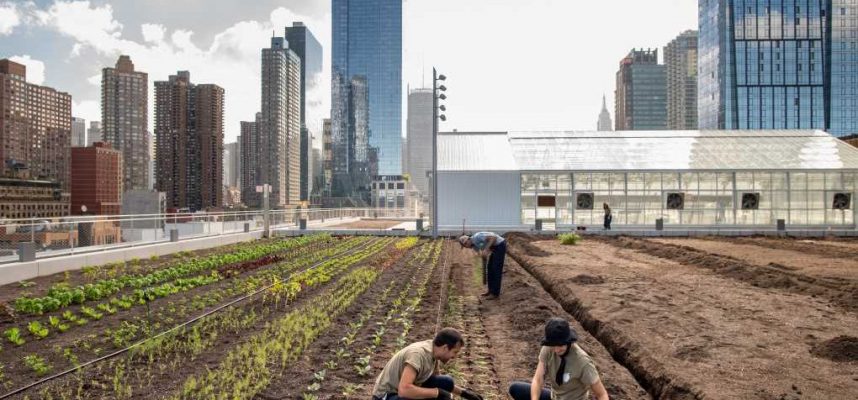 Javits-Center-granja-ok-1020x600