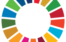 SDG-Wheel_WEB-600x600