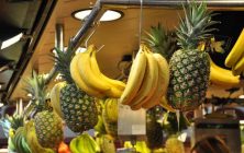 frutas-importacion-1020x600