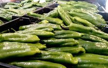 pimientos1