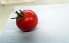 tomate-editado