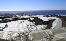Invernaderos