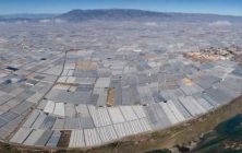 Panoramica-invernaderos-900x298